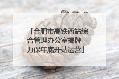 合肥市高铁西站综合管理办公室揭牌 力保年底开站运营