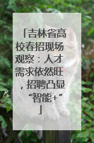 吉林省高校春招现场观察：人才需求依然旺，招聘凸显“智能+”