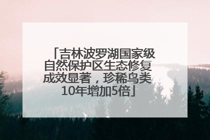 吉林波罗湖国家级自然保护区生态修复成效显著，珍稀鸟类10年增加5倍