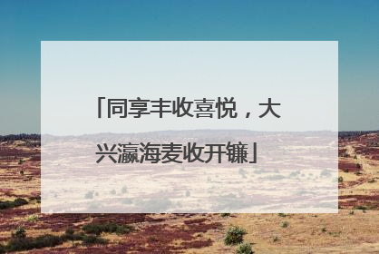 同享丰收喜悦，大兴瀛海麦收开镰
