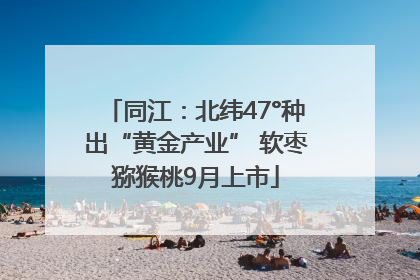 同江：北纬47°种出“黄金产业” 软枣猕猴桃9月上市