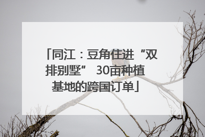 同江：豆角住进“双排别墅” 30亩种植基地的跨国订单