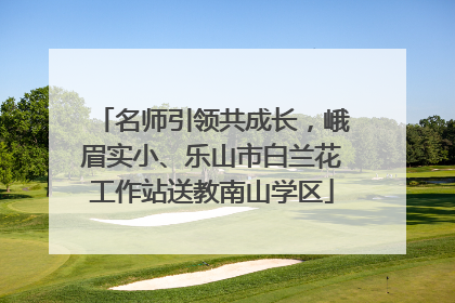 名师引领共成长，峨眉实小、乐山市白兰花工作站送教南山学区