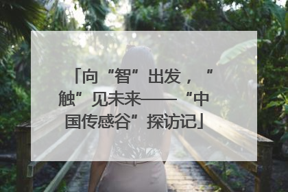 向“智”出发，“触”见未来——“中国传感谷”探访记