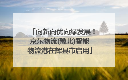 向新向优向绿发展！京东物流(豫北)智能物流港在辉县市启用