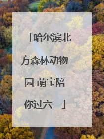 哈尔滨北方森林动物园 萌宝陪你过六一