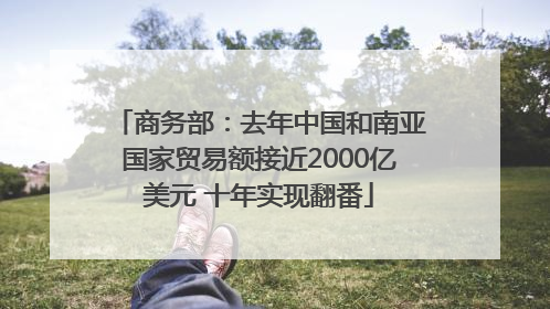 商务部：去年中国和南亚国家贸易额接近2000亿美元 十年实现翻番