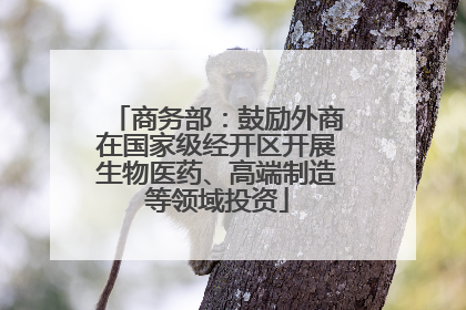 商务部：鼓励外商在国家级经开区开展生物医药、高端制造等领域投资