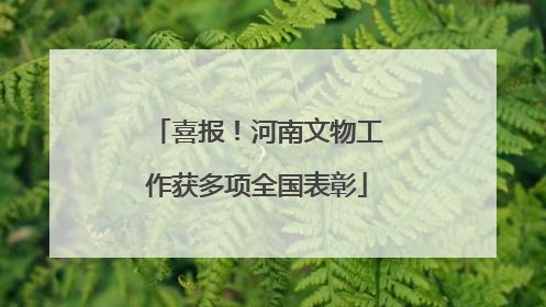 喜报！河南文物工作获多项全国表彰