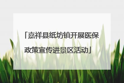 嘉祥县纸坊镇开展医保政策宣传进景区活动