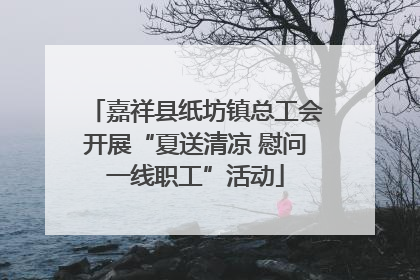 嘉祥县纸坊镇总工会开展“夏送清凉 慰问一线职工”活动
