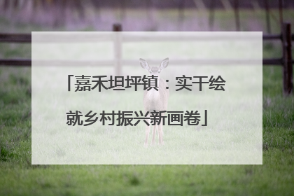 嘉禾坦坪镇：实干绘就乡村振兴新画卷