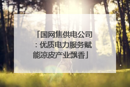 国网焦供电公司：优质电力服务赋能凉皮产业飘香