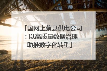 国网上蔡县供电公司：以高质量数据治理 助推数字化转型