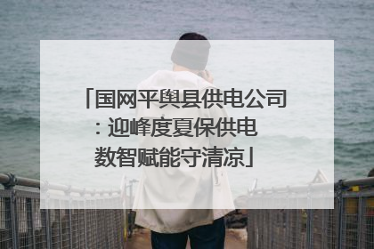 国网平舆县供电公司：迎峰度夏保供电  数智赋能守清凉