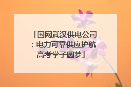 国网武汉供电公司：电力可靠供应护航高考学子圆梦
