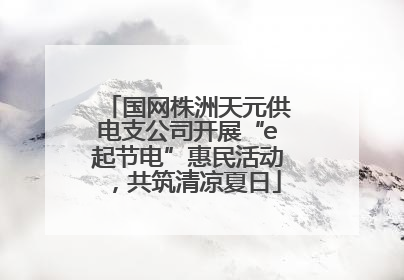 国网株洲天元供电支公司开展“e起节电”惠民活动，共筑清凉夏日