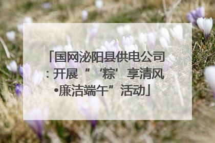 国网泌阳县供电公司：开展“‘粽’享清风 •廉洁端午”活动