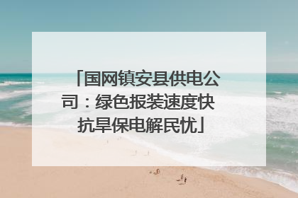 国网镇安县供电公司：绿色报装速度快 抗旱保电解民忧