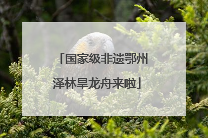 国家级非遗鄂州泽林旱龙舟来啦