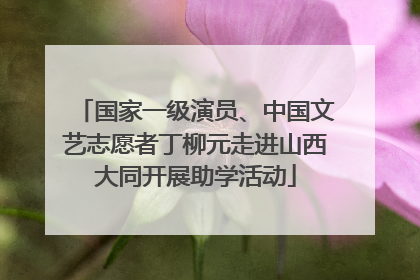 国家一级演员、中国文艺志愿者丁柳元走进山西大同开展助学活动
