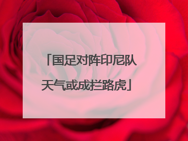 国足对阵印尼队 天气或成拦路虎