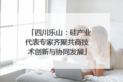 四川乐山：硅产业代表专家齐聚共商技术创新与协同发展