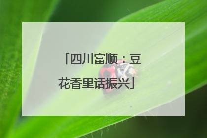 四川富顺：豆花香里话振兴