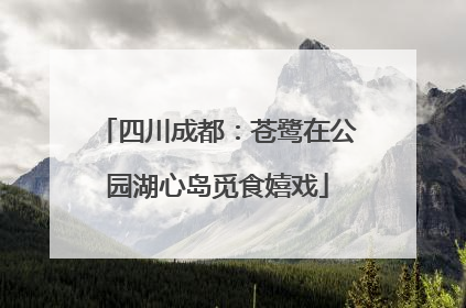 四川成都：苍鹭在公园湖心岛觅食嬉戏