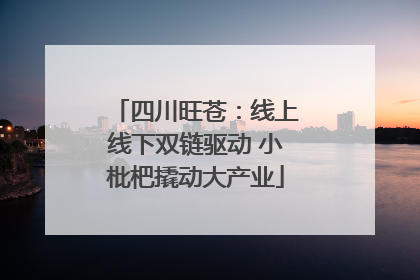 四川旺苍：线上线下双链驱动 小枇杷撬动大产业