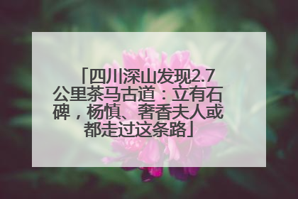四川深山发现2.7公里茶马古道：立有石碑，杨慎、奢香夫人或都走过这条路