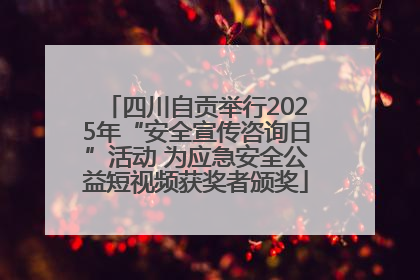 四川自贡举行2025年“安全宣传咨询日”活动 为应急安全公益短视频获奖者颁奖