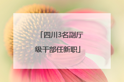 四川3名副厅级干部任新职