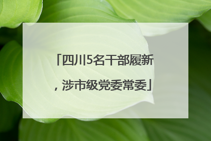 四川5名干部履新，涉市级党委常委