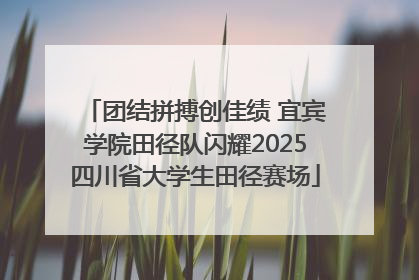 团结拼搏创佳绩 宜宾学院田径队闪耀2025四川省大学生田径赛场