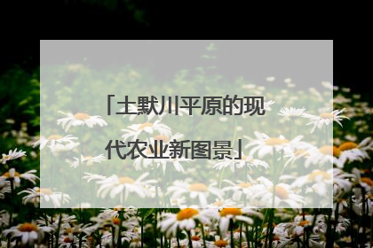 土默川平原的现代农业新图景