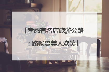 孝感有名店旅游公路：路畅景美人欢笑