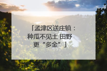 孟津区送庄镇：种瓜不见土 田野更“多金”