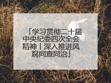 学习贯彻二十届中央纪委四次全会精神丨深入推进风腐同查同治