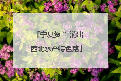 宁夏贺兰 淌出西北水产特色路