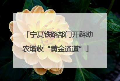 宁夏铁路部门开辟助农增收“黄金通道”