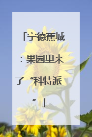 宁德蕉城：果园里来了“科特派”