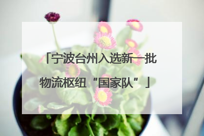 宁波台州入选新一批物流枢纽“国家队”