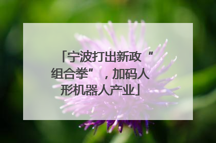 宁波打出新政“组合拳”，加码人形机器人产业