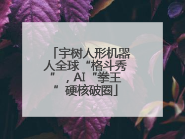宇树人形机器人全球“格斗秀”，AI“拳王”硬核破圈