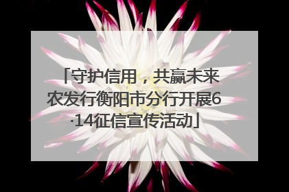 守护信用，共赢未来 农发行衡阳市分行开展6·14征信宣传活动