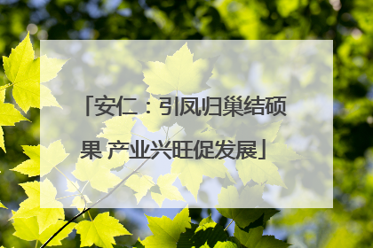 安仁：引凤归巢结硕果 产业兴旺促发展