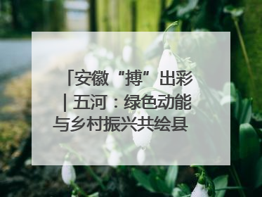 安徽“搏”出彩｜五河：绿色动能与乡村振兴共绘县域发展新图景