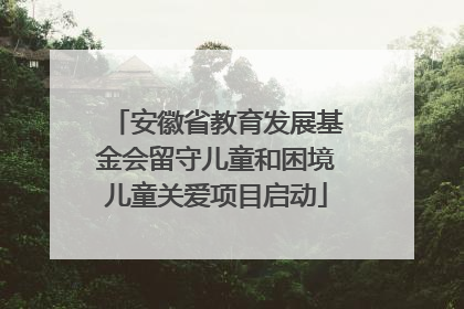 安徽省教育发展基金会留守儿童和困境儿童关爱项目启动