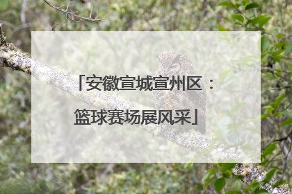安徽宣城宣州区：篮球赛场展风采
